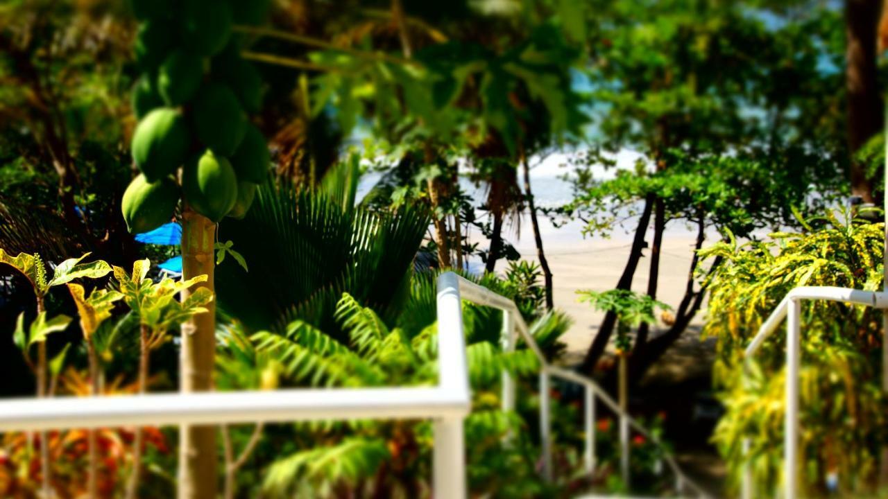 סקרבורו Bacolet Beach Club מראה חיצוני תמונה